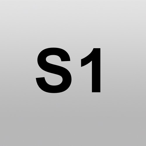 S1